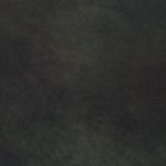 Picture of Legends Cactus Leather Grade 4 - Manufature 1 swatch