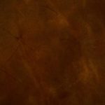 Picture of Polo Club Cognac Leather Grade 4 - Manufature 1 swatch