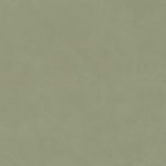 Picture of Silk Kiwi Leather Grade 3 - Manufature 1 swatch