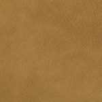 JAYNE WING CHAIR Applause Grand Tanyon Leather Grade 1-Classic Picture of Applause Grand Tanyon Leather Grade 1-Classic swatch