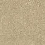 JAYNE WING CHAIR Glam Champagne Leather Grade 2-Classic Picture of Glam Champagne Leather Grade 2-Classic swatch