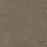 JAYNE WING CHAIR Glam Shimmer Leather Grade 2-Classic Picture of Glam Shimmer Leather Grade 2-Classic swatch