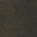 JAYNE WING CHAIR Rustic Timber Leather Grade 1-Classic Picture of Rustic Timber Leather Grade 1-Classic swatch
