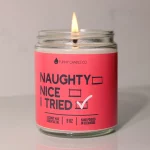 Naughty, Nice, I Tried funny Christmas Candle -9 oz