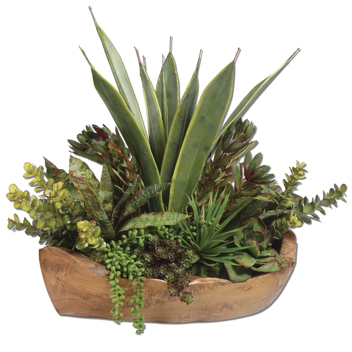 Dense and lush mix of succulent plants including aloe, jade, bromeliad, string of pearls and others in a hand carved, natural teak bowl. Dimensions: 22 W X 20 H X 12 D (in) Weight: 13