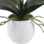 A gracefully arching stem of white orchids with reindeer moss accents over a bed of naturally preserved moss, placed in a contemporary textured white ceramic pot. Container is 4.5" W x 4.5" H x 4.5" D.