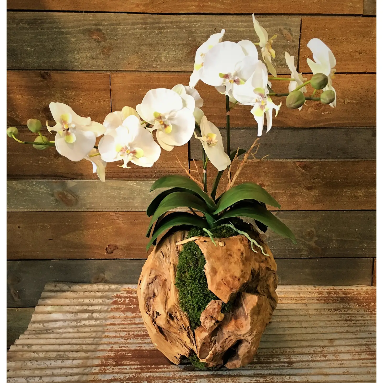 Double Orchid in a Hand Cracfted Wooden Sphere
