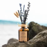 Le Petit Jardin & Co. | Lemon + Verbena Reed Diffuser w/ Lavender & Eucalyptus