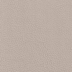 Bedford Vanilla Gr B