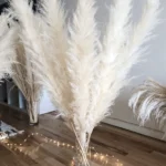 Large Pampas Grass Ivory cream pampass grasses decor