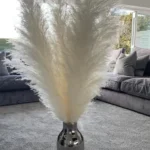 Large Pampas Grass Ivory cream pampass grasses decor