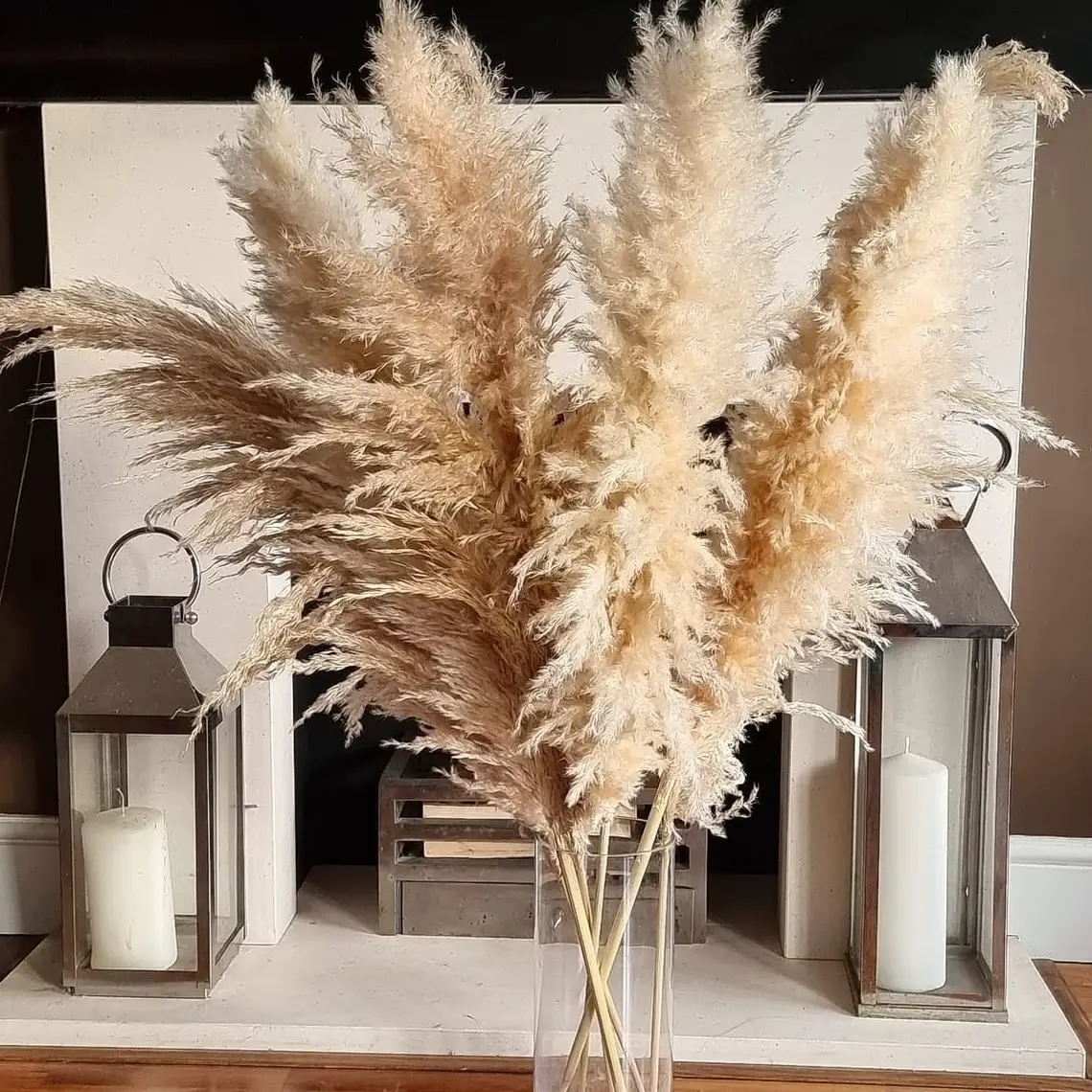 Large Pampas grass Tall fluffy Dried reed floral decor boho