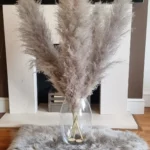 Large Pampas Grass Natural Dark Grey Dried floral home
