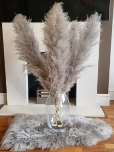 Large Pampas Grass Natural Dark Grey Dried floral home