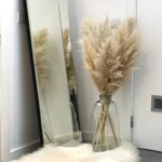 Pampas grass Large Beige Chic fluffy Dried tall bouquet