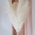 Large Pampas Grass Ivory cream pampass grasses decor