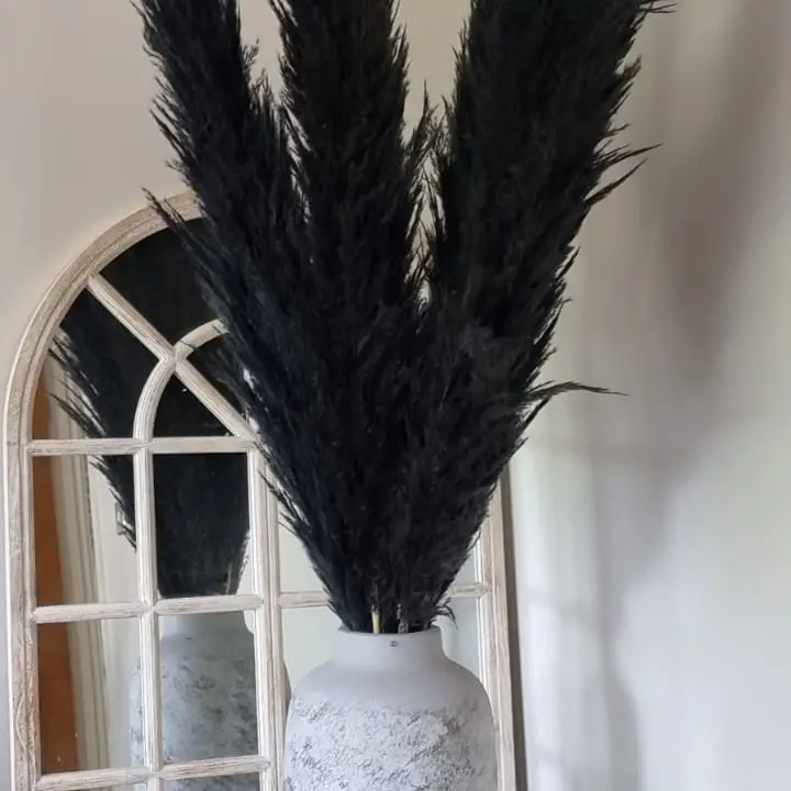 Pampas Grass Large black Fluffy Dried pampas arrangement