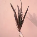 3 Pcs Natural Sago Palm Leaves Branches, Dried Painted Sago