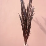 3 Pcs Natural Sago Palm Leaves Branches, Dried Painted Sago