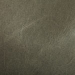 Comfort Sleeper Klein Mont Blanc Fern AL Leather Grade H - CSB Picture of Mont Blanc Fern AL Leather Grade H - CSB swatch