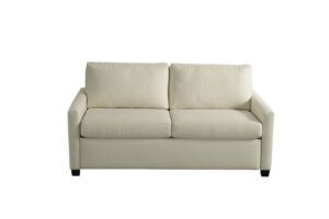 Comfort Sleeper Silver Palmer